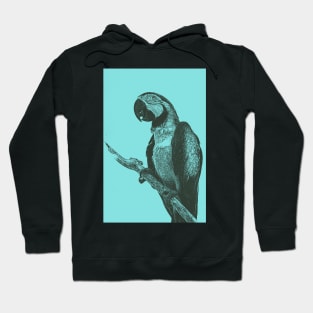 Macaw Bitmap Effect Hoodie